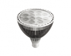 PAR38灯
