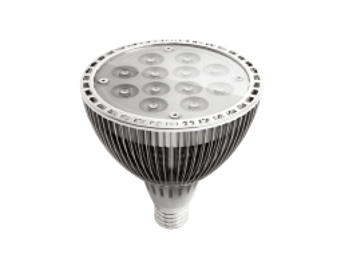 PAR38灯